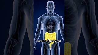 Intestinal drug delivery #shorts #drugdelivery #pharmaceutics #medication #study #pharmacy #facts