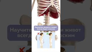 ПЛОСКИЙ ЖИВОТ без пресса — просто научитесь ДЫШАТЬ #плоскийживот #дыхание