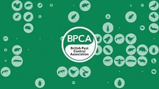 Pest management training with the British Pest Control Association