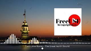 Two Little Bums - The Great North Sound [SAFE MUSIC][2020] // FreeUSE - No Copyright Musics