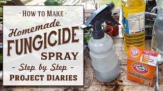  How to: Make Cheap Homemade Fungicide (Complete Step by Step Guide)