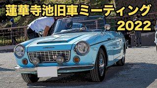 【旧車イベント】蓮華寺池旧車ミーティングにダットサン ブルーバード、フェアレディz、ベレット、グロリア等のクラシックカー、ビンテージカー、オールドタイマーが参加した。