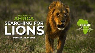 Searching For Lions | Behind The Scenes Filming Wildlife In Africa | Part V | Filming The Wild