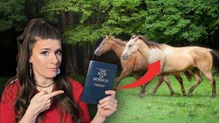 Horses in the Book of Mormon. The Facts.