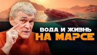 НА МАРСЕ НАШЛИ ЖИДКУЮ ВОДУ = ЖИЗНЬ? / КОМЕТЫ-ОБОРОТНИ / ЗВЁЗДЫ ПРОИЗВОДЯТ ЗОЛОТО. Владимир Сурдин