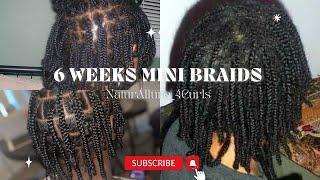 GROW YOUR HAIR FAST WITH MINI BRAIDS IN 6 WEEK!!#new #viral #youtube #hairgrowth #minibraids