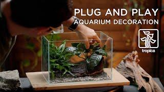 The ULTIMATE 'plug and play' aquarium decor plant combo for beginners - Tropica Aqua Decor 