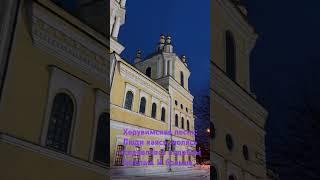 #сибирь #собор #церковь #православие #хор #пение #херувимы #ангелы #молитва #покаяние #исправление