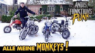 Die Affen sind los! | Honda Monkey 90ccm | Andi Feldmann