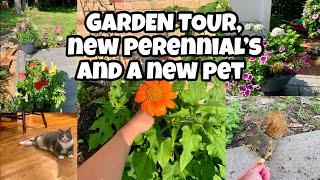 ⭐️ GARDEN EDITION⭐️ Quick flower tour/ more planting, wildlife and a new pet ️