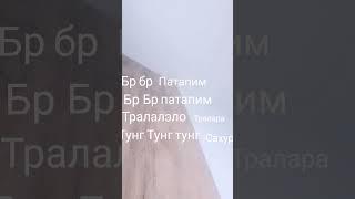 26 мая 2025 г.