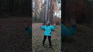 Тайцзи -  стиль Ян.