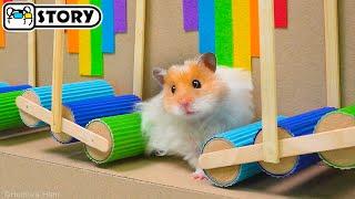 The Best Hamster Challenges - Hamster Escapes from the Most Amazing Mazes  Homura Ham Pets