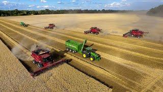 XXL Erntekomplex im Weizen / 4 CaseIH 8240 & 2 John Deere 8400R [4K]