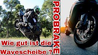 ProBrake Bremse im Test // Bremsscheibe + Stahlflex #motorrad #motovlog