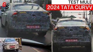 Tata Curvv spotted Testing - 2024 Tata Curvv Interior, Exterior Latest Spy Shots Top End | GotSpeed