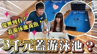 【3千元打造專屬”游泳池“養魚？】超簡單“低成本”自製超大私人泳池！自製過濾系統養魚！@D7babe @Happyaquarium2970857