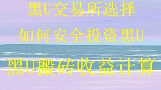 黑U可进交易所，黑U不限金额随意自助购买，零成本日赚上千，如何识别黑u？，100%收益稳定。十分钟让你学会赚到2000,黑U搬砖零基础教学，