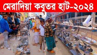 মেরাদিয়া কবুতর হাট-২০২৪ || kobutor hat 2024 || pigeon market in bangladesh || meradiya kobutor hat