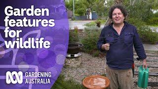 Tips for creating wildlife habitats in your garden | Australian native plants | Gardening Australia