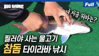 [Full] 참돔 낚시 이렇게만 하세요!! 제주도 차귀도 참돔 낚시 꿀팁 대방출! [빅게임 더 와일드/27회]