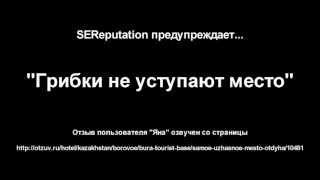 SEReputation предупреждает: Грибки не уступают место. (Отзыв)