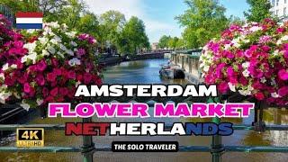 AVOID Missing Flower Market Bloemenmarkt in Amsterdam . The Netherlands Walking tour