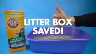 How to use Arm & Hammer™ Cat Litter Deodorizer