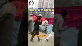 HALAL证书有没有用？#清真HALAL认证  #品牌出海 #工厂出海#马来西亚#HALAL