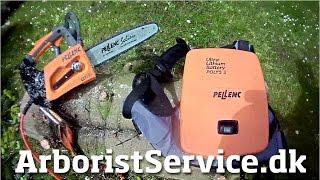 Testing Pellenc Selion Battery Powered Chainsaw - The quiet pruner - Tree climbing Arborist