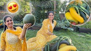 First Harvesting of our Vegetable Garden in UK  | indian Family in UK