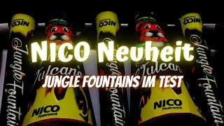 Jungle Fountains von NICO Feuerwerk - Neues F1 Fontänen-Sortiment im TEST