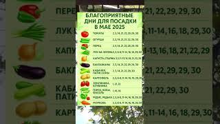  БЛАГОПРИЯТНЫЕ ДНИ ДЛЯ ПОСАДКИ В МАЕ 2025 — ЛУННЫЙ КАЛЕНДАРЬ ДЛЯ ОГОРОДНИКОВ