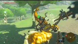 Taming a Gold Lynel is harder than you THINK!