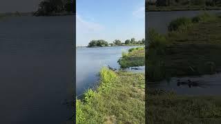Охота рыбалка