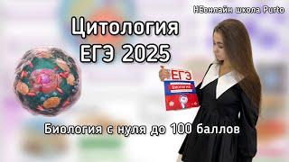 Цитология | Первый вводный урок ЕГЭ 2025 Биология | НЕонлайн школа Purto