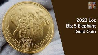 2023 1oz Big 5 Elephant Gold Coin