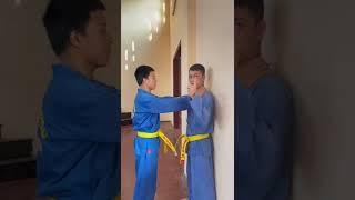 Tự vệ cùng vovinam