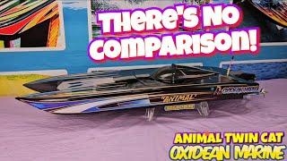 Animal Twin Cat Rc Boat is Simply the Best! No Comparison!