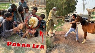 Jungle Janwar Ko Pakar Lea  Dolly Ko Ly Aiy 