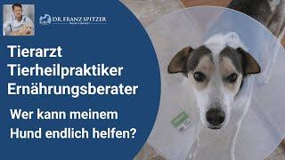 Tierarzt, Tierheilpraktiker, Ernährungsberater - wer kann meinem Hund endlich mal helfen?