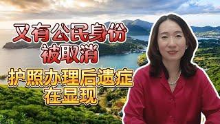 【安提瓜护照】安提瓜护照到底有多好用？满足高净值人士需求 一人申请五代移民 可以免征个人所得税 小国护照界中的黑马【unjnu小飞象移民】加勒比地区投资入籍 圣卢西亚 圣基茨 格林纳达 多米尼克