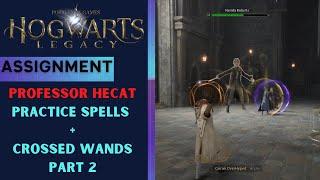 Hogwarts Legacy Professor Hecat Assignment Full Walkthrough