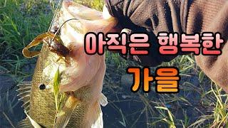 아직 끝나지 않은 즐거운 가을 배스 낚시 Bass Fishing