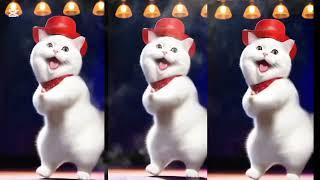 ️Cat videos funny dance Videos for catsv#funnycats #dancingcat #catlovers  @furry-cornerz