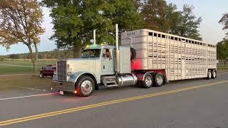 Freightliner and Western star Bull hauler