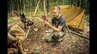 Overnight Bushcraft Camp with my Dog - Tomahawk Steak over the Fire, Frost River Pack, Bugs!