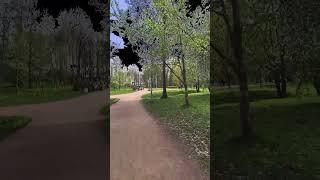 Парк Есенина находится в Невском районе Санкт-Петербурга.