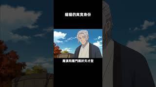 猫猫的真实身份