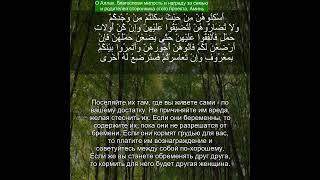 Коран Сура Ат-Талак | 65:6 | Чтение Корана с русским переводом | Quran Translation in Russian